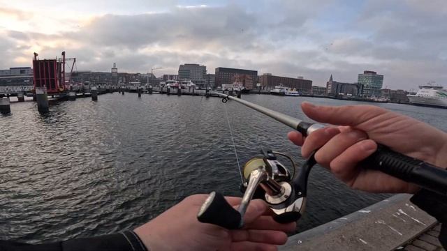 Приехал на селедку а камбала и тут меня преследует 🤯 ?