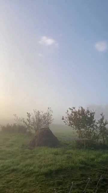 У каждого из нас - на свете есть места 💚🙏 смотреть онлайн