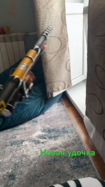 Новая удочка #рыбалка2024 #fishing #рыбалка #carpfishing #fish смотреть онлайн