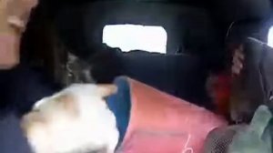 Мужики на уазике