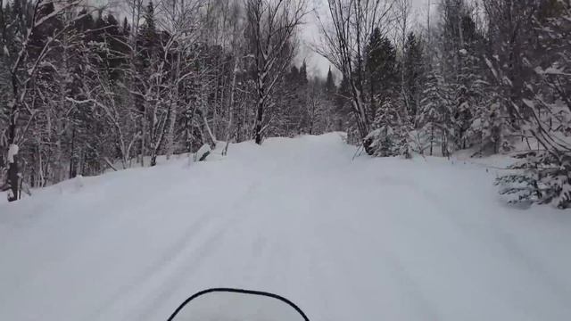 Уехали на рыбалку в глухую тайгу. Рыбалка на хариуса. смотреть онлайн