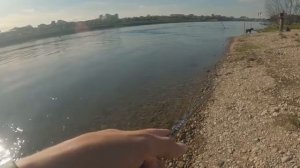 Форель на Ангаре в черте города. Иркутск