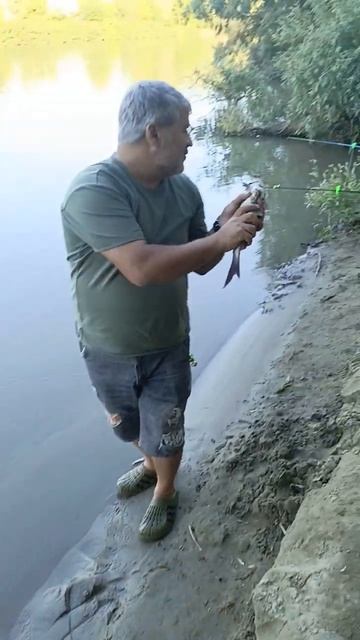 Рыбалка на Кубани смотреть онлайн