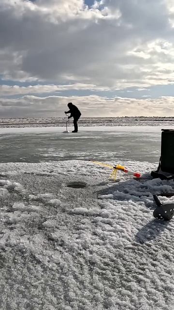 Трофейный окунь ! #youtube #shorts #shortvideo #youtube #рекомендации #20 смотреть онлайн