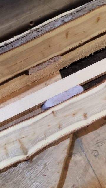 Из кривого можжевельника ровная доска? #wood смотреть онлайн
