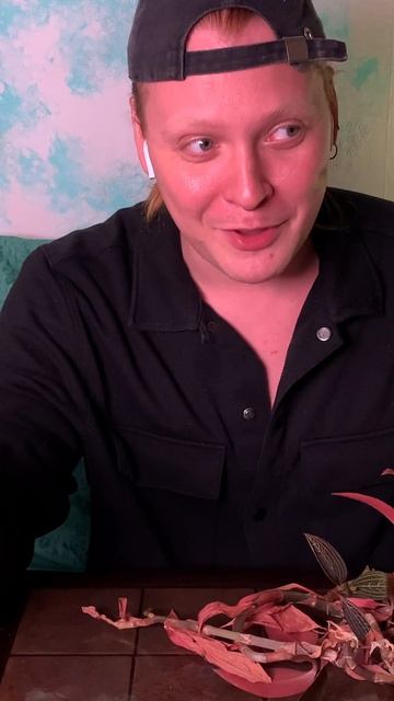 Мой способ черенкования растений. #комнатныерастения смотреть онлайн