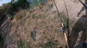 РЫБАЛКА НА МАКУШАТНИКИ НА РЕКЕ ПРОТОКА п.АЧУЕВО СЛАВЯ?