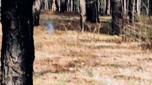 Операция Игла ч,-ll