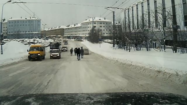 Мурманск. Гуляющие лошади смотреть онлайн