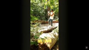 песня сидим с бобром за столом