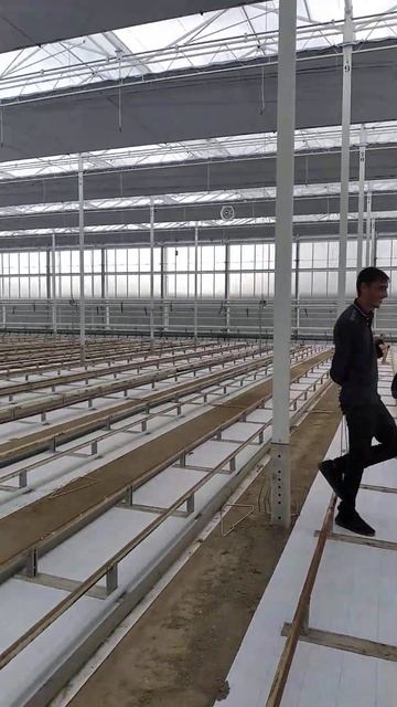 подготовка к посадке на минвату рассаду помидор. смотреть онлайн