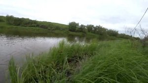 ОХОТА И РЫБАЛКА В ТАЙГЕ Коми: Не ожидал, что в этом бол?