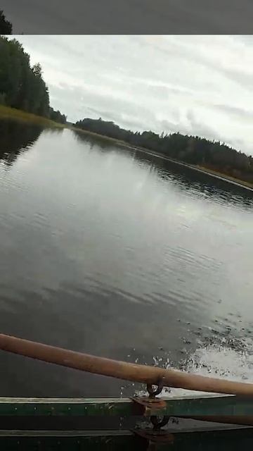 Приплыли в луку. #селигер #рыбалка #троллинг