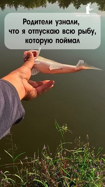 К - кормилец 🤣 #спиннинг #рыбалка #юмор