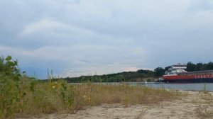 Ловля амура на реке Дон 2024