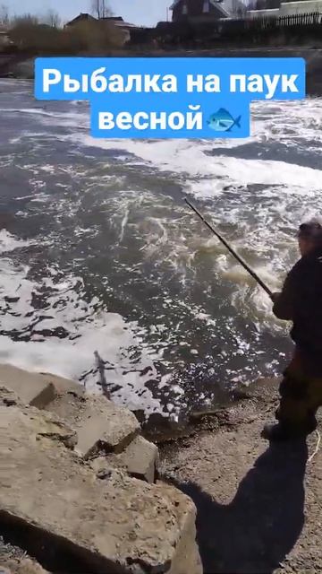 Ловля 🎣 на паук смотреть онлайн