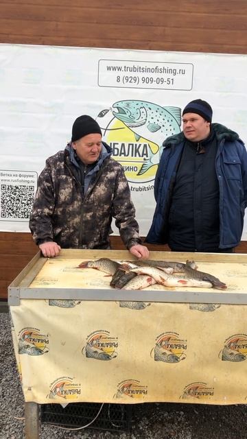 Улов зубастой хищницы / Платная рыбалка в Подмосковье