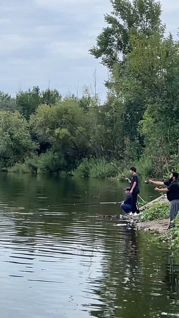 #рибалка #жизнь #riba #блесна #ribalka смотреть онлайн