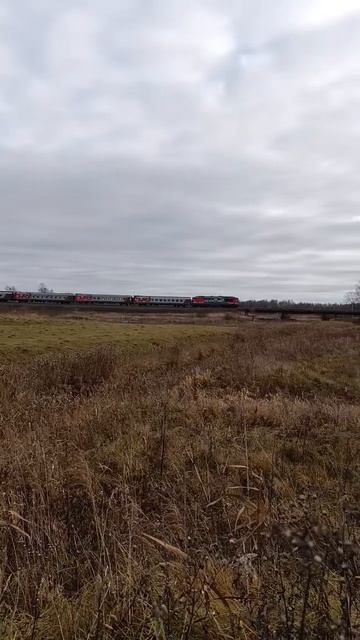 ТЭП70-344 на перегоне Армёнки - Малаховская. Поезд 048 Санк