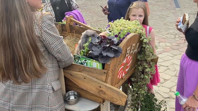 Несвижский замок. Дворик смотреть онлайн