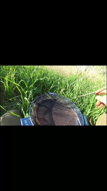 А ВЫ ПРОСЕИВАЕТЕ ПРИКОРМ? #рыбалка2023  #соревнования #фи