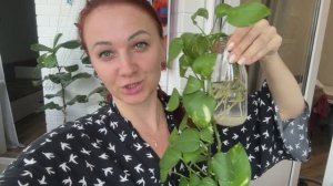 Как я худею? Мое питание / Шаги / Обесценивание моих действий.