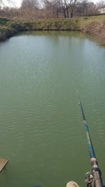 Рыбалка зимой #плотва #рыбалка #зимняяловлярыбы смотреть онлайн