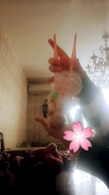 как можно прыгать в бассейн смотреть онлайн