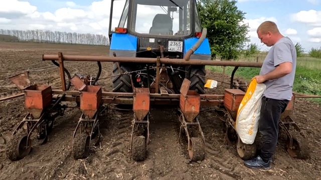 Посевная в разгаре. Сею семечку сорт Вольф. смотреть онлайн