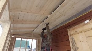 Закон 21/90. Жизнь на Алтае после переезда.