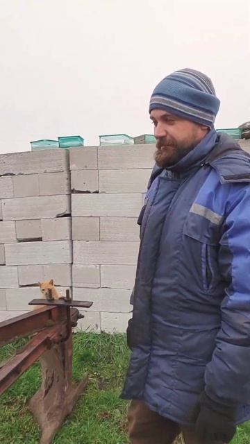 "Новая цацка" к трактору #жизньвдеревне #подсобноехозя смотреть онлайн