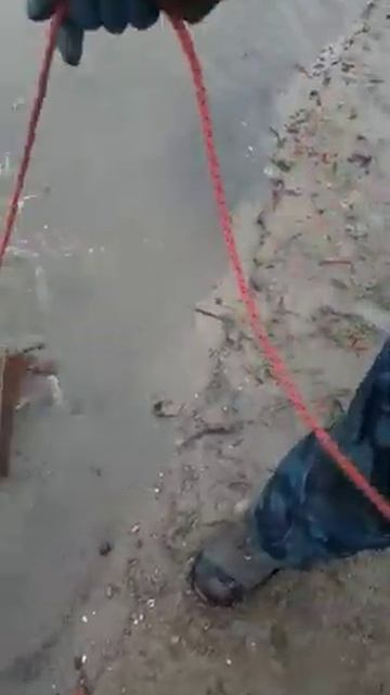 Со дна Москва реки,на поисковый магнит,подарок на масл смотреть онлайн