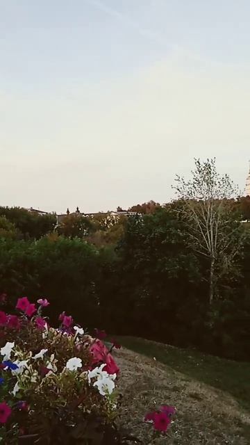 Владимир. Спуск и Успенский собор. 13.9.2024. смотреть онлайн