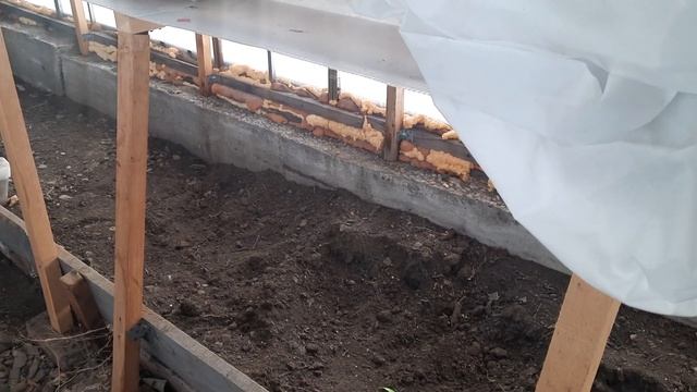 Оптимизирую теплицу для малышей гортензий🌱🌱🌱 смотреть онлайн