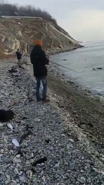 форель ловится в черном море смотреть онлайн