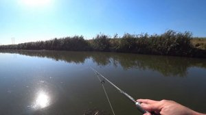 Воблер №1 для ловли щуки! Как ловить на воблер Tiny Magallon?