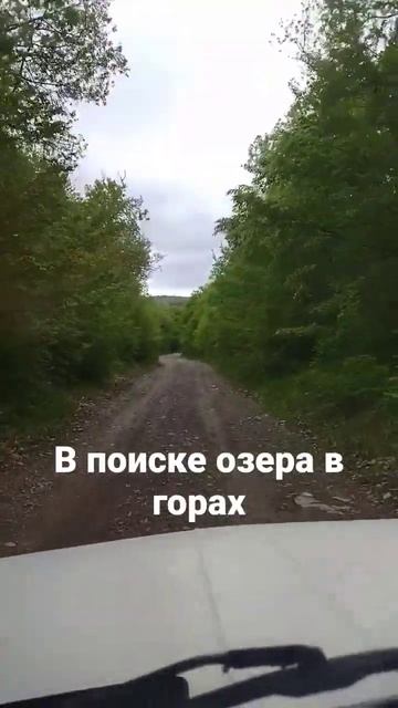 в поиске озера #fishing #carpfishing #fish #горы #озеро смотреть онлайн