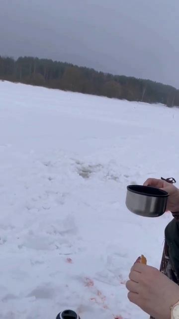 жерлицы с кайфом - 1 февраля 2024 г. смотреть онлайн