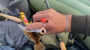 Невероятная оснастка для камбалы: Рыбы клюют одна за о