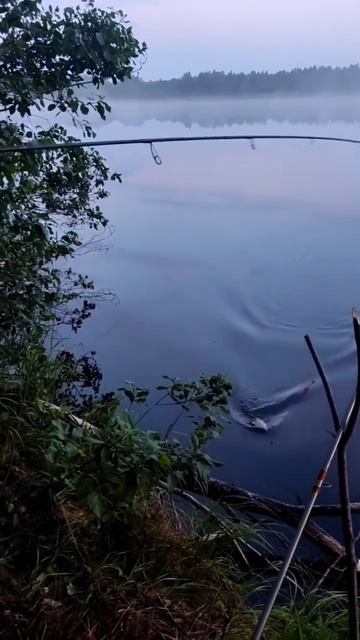 #Ярославская_область #Макееха #Отпуск смотреть онлайн