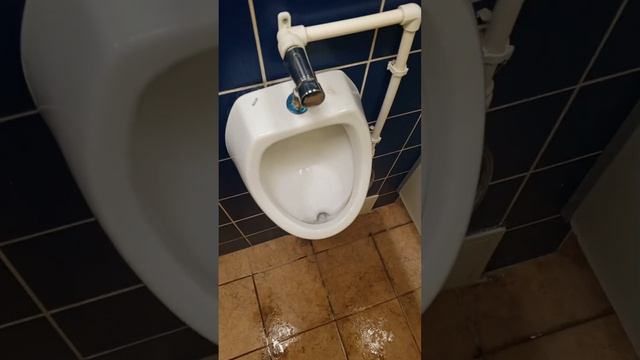 уборная в гипермаркете "Гипер Лента" на улице Мельника смотреть онлайн