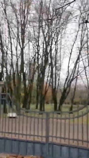 Санкт-Петербург. Московский Парк Победы. Улица Бассей? смотреть онлайн