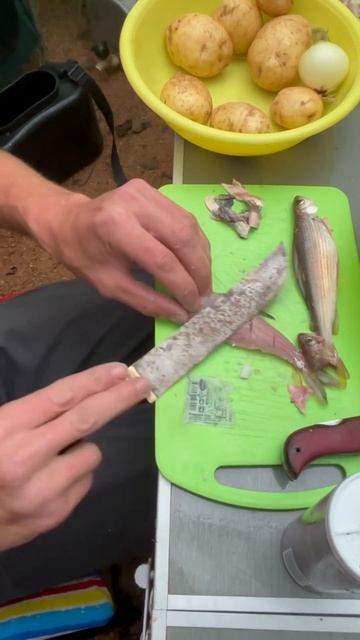 Обдир из хариуса. Свежайший деликатес 🔥 #рыбалка #хар? смотреть онлайн