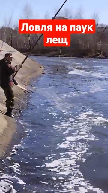 Рыбалка на паук Весной 2022 смотреть онлайн