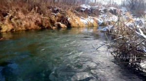 Рыбалка в  Ярославской области. р.Устье ловим щуку. Дик