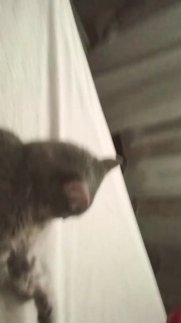 она не ест дешёвый корм токо дорогие каждый день её вы? смотреть онлайн