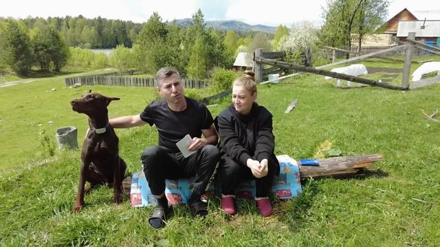 Обращение к подписчикам! Ответы на часто задаваемые вопросы. смотреть онлайн