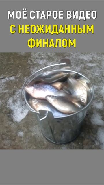 НЕОЖИДАННЫЙ ФИНАЛ. ЗИМНЯЯ РЫБАЛКА #shorts смотреть онлайн