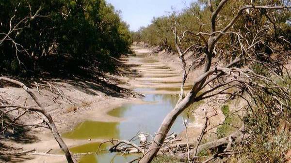 Почему в церкви служений много, а жизни мало
