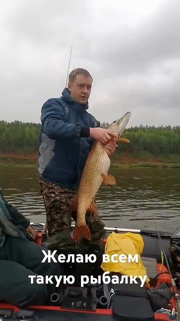 Рыбалка на севере. Всем бы таких щук ловить смотреть онлайн